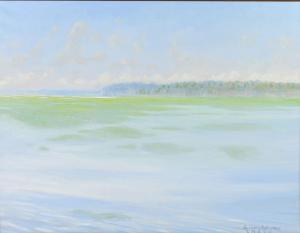 BEHYMER Gregory 1952,''Saint John's River, Florida'',,1998-2002,Burchard US 2021-12-12