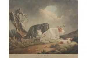 BELL E 1792,Cows,1798,Von Zengen DE 2015-09-18