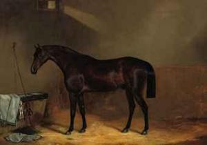 BELL John Clement,A chestnut in the stable,1852,Christie's GB 2010-12-14