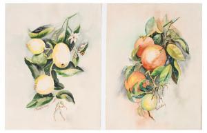 BELLOWS Jane 1954,Still Life of Oranges,Burchard US 2022-08-13