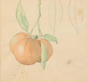 ben david Shmuel 1884-1927,Lot of 3 drawings: flowers, sabra, oranges,Tiroche IL 2022-08-14