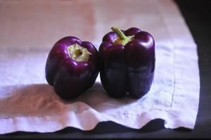 BEN DOV Osnat 1968,Purple Peppers,2015,Montefiore IL 2017-02-21