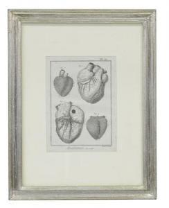 BENARD Robert 1734-1786,Il cuore e le sue parti principali,Meeting Art IT 2018-05-30