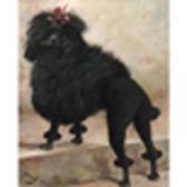 BENAUT H 1900-1900,Standard poodle,William Doyle US 2002-02-12