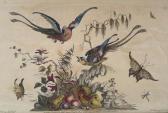 BENAZECH Peter 1730-1795,Birds & Butterflies,Litchfield US 2014-02-05