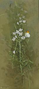 BENINGFIELD Gordon George 1936-1998,Orange tip butterfly in grasses,Bonhams GB 2012-02-15