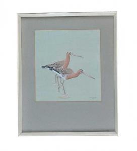 BENINGTON M,BLACK-TAILED GODWITS,1965,Ross's Auctioneers and values IE 2016-11-09