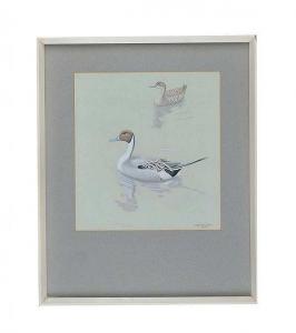 BENINGTON M,PAIR OF PINTAILS,1965,Ross's Auctioneers and values IE 2016-11-09