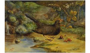 BENNETT J,Blackbird eating Berries,1876,Gerrards GB 2008-09-04