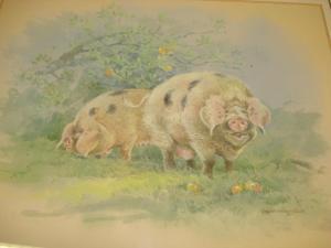BENNINGFIELD Gordon 1900-1900,Pigs in a Apple Orchard signed lower right, waterc,Bonhams 2012-11-14