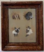 BENNINGFIELD Gordon 1900-1900,profile study of a cat and two dogs,20th century,Keys GB 2023-01-05
