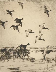 BENSON Frank Weston 1862-1951,Flying Ducks,1919,Skinner US 2016-01-19