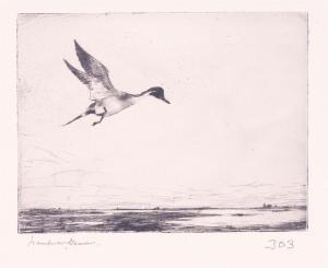 BENSON Frank Weston 1862-1951,Three Pintail Prints,1920,Copley US 2024-02-23
