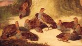 BENSTED John 1800-1800,A COVEY OF PARTRIDGES BENEATH A TREE,Christie's GB 1998-08-20