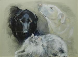 BENTLEY D,Portrait of Labradors and Cat,David Duggleby Limited GB 2017-03-11