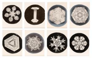 BENTLEY Wilson Alwyn 1865-1931,Eight gold chloride toned photomicrographs of sno,1900,William Doyle 2022-12-13