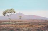 BENZIEN DON 1900-1900,South African landscape,Capes Dunn GB 2013-02-27