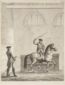 BERENGER Richard,The History and Art of Horsemanship,Bloomsbury London GB 2012-11-08