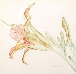BERGMANN Carl 1903-1900,Light Pink Lily,Ro Gallery US 2014-07-17