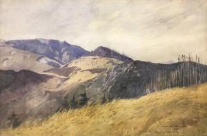 BERMEITINGER Henry 1892-1951,Vue de montagne,Boisgirard - Antonini FR 2020-07-21