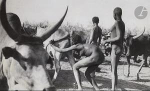 BERNATZIK HUGO A 1897-1953,Soudan. Peuple Nuer,1927,Ader FR 2021-11-13