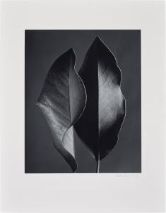BERNHARD Ruth 1905-2006,Two Leaves,1952,Phillips, De Pury & Luxembourg US 2024-04-24