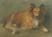 BERRY Mary Elizabeth 1870-1940,Study of a Collie,Bonhams GB 2004-06-15