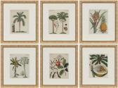 BERTUCH Friedrich Justin 1747-1822,[PALM TREES AND TROPICAL PLANTS],William Doyle US 2021-06-30
