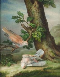 BESSA L 1800-1800,Pancrace. A bird on a branch mourns his dead companion,Nagel DE 2007-03-21