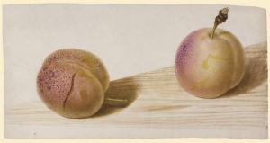 BESSA Pancrace 1772-1846,Deux abricots,Christie's GB 2008-11-16