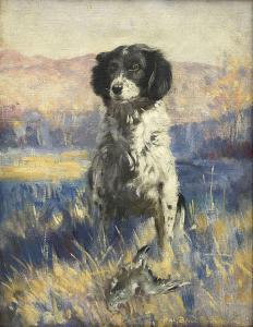 BEVAN PETMAN Hal C 1894-1980,Portrait of a Spaniel,1952,David Duggleby Limited GB 2022-06-17
