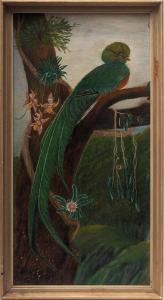 BEYER Otto 1885-1962,Quetzal auf einem Ast,Bloss DE 2016-12-05