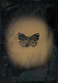 BIDAUT JAYNE HINDS 1965,Butterfly, Peru,Swann Galleries US 2017-04-20