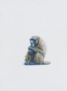 BIEL JOE 1966,Monkey (Wishbone),2009,Van Ham DE 2019-10-02