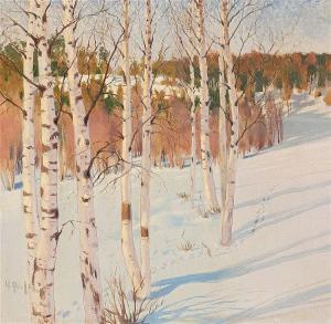 BIESE Helmi 1867-1933,Winter Forest,Strauss Co. ZA 2016-11-07