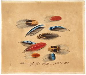 BIFFIN Sarah Wright 1784-1850,Study of ten feathers,2022,Sotheby's GB 2023-03-16