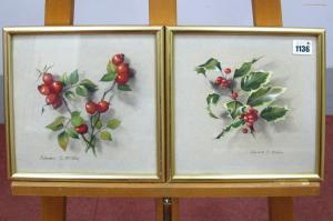 BILLIN Edward S 1911-1995,Studies of Holly and Red Berries,Sheffield Auction Gallery GB 2022-10-14