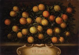 BIMBI Bartolomeo 1648-1725,Still Life of Oranges,William Doyle US 2018-01-31