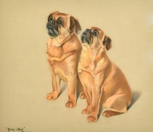 BINET Phyllis 1900-1900,A study of the Pugs: Bing and Bob,John Nicholson GB 2022-08-03