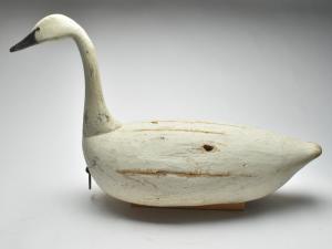 BIRCH Reggie 1953,Full size whistling swan,Guyette & Schmidt US 2023-02-04