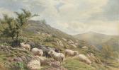 BIRTLES Henry 1838-1907,sheep grazing on the hilltops,Sotheby's GB 2005-03-08