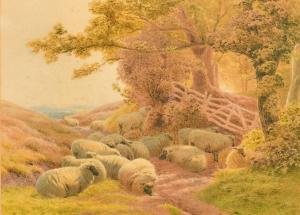 BIRTLES Henry,sheep resting in a sunlit glade at the edge of a w,1874,John Nicholson 2023-12-20