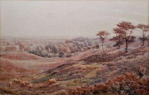BIRTLES Henry 1838-1907,"Upland Grazing",The Cotswold Auction Company GB 2023-02-28