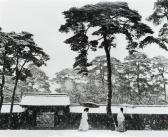 BISCHOF Werner 1916-1954,Shinto priests in the court of the Meiji temple,1951,Tajan FR 2012-11-27