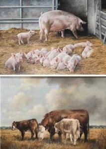 BIZON Edna 1929-2016,A sow and her piglets in a barn,Woolley & Wallis GB 2023-06-07