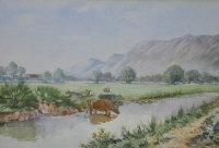 BLACK Andrew 1850-1916,Highland Landscape With Cattle,Shapes Auctioneers & Valuers GB 2011-07-16