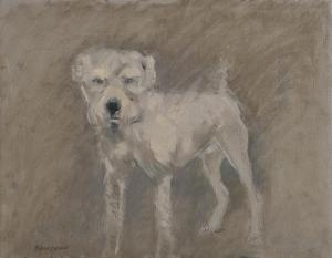 BLACKSHAW Basil 1932-2016,Terrier,Morgan O'Driscoll IE 2019-01-21
