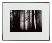 BLAIR JAMES P 1931,Morning Fog Envelops Giant Redwood Trees,1983,Hindman US 2020-08-25