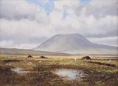BLAIR Manson 1900-1900,BOGLAND, SOUTH OF SLEMISH,Ross's Auctioneers and values IE 2021-03-24