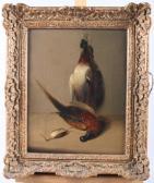 BLAKE Benjamin 1757-1830,game birds,Jones and Jacob GB 2018-09-12